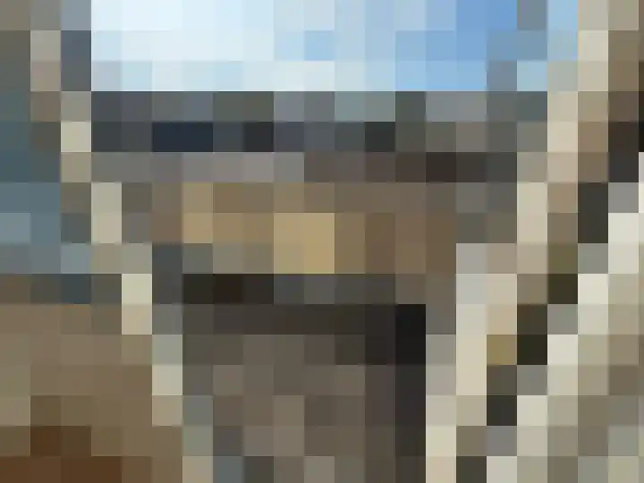Prinses Marijkestraat 20 Wieringerwerf thumbnail 32