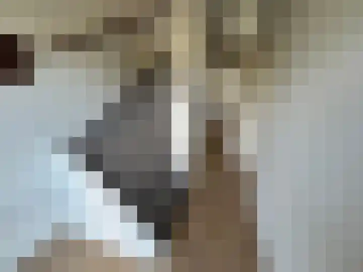 Prinses Marijkestraat 20 Wieringerwerf thumbnail 7