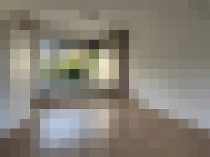 Prinses Marijkestraat 20 Wieringerwerf thumbnail 9