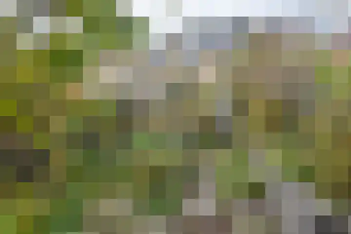 Prinses Marijkestraat 34 Hillegom thumbnail 4