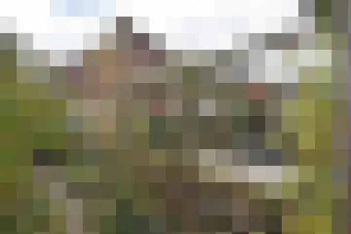 Prinses Marijkestraat 34 Hillegom thumbnail 48
