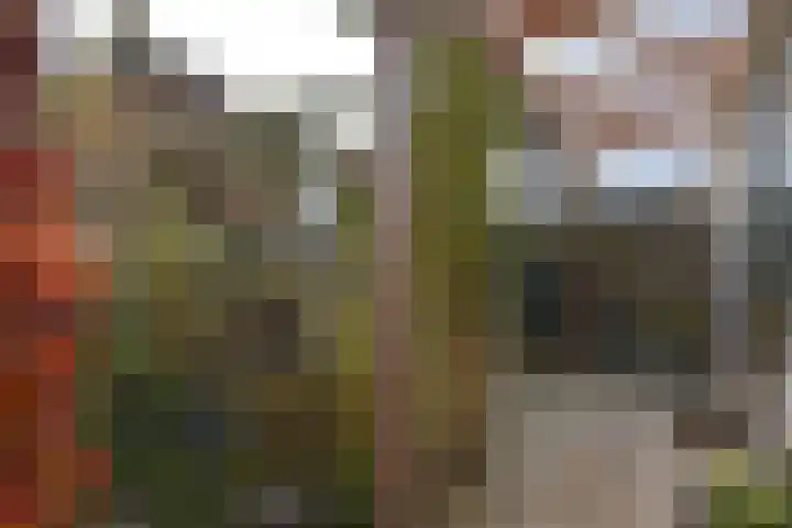 Prinses Marijkestraat 34 Hillegom thumbnail 52