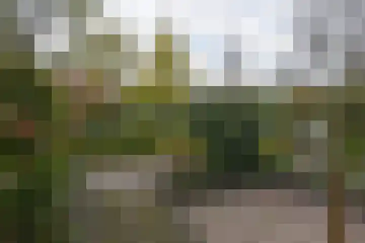 Prinses Marijkestraat 34 Hillegom thumbnail 53