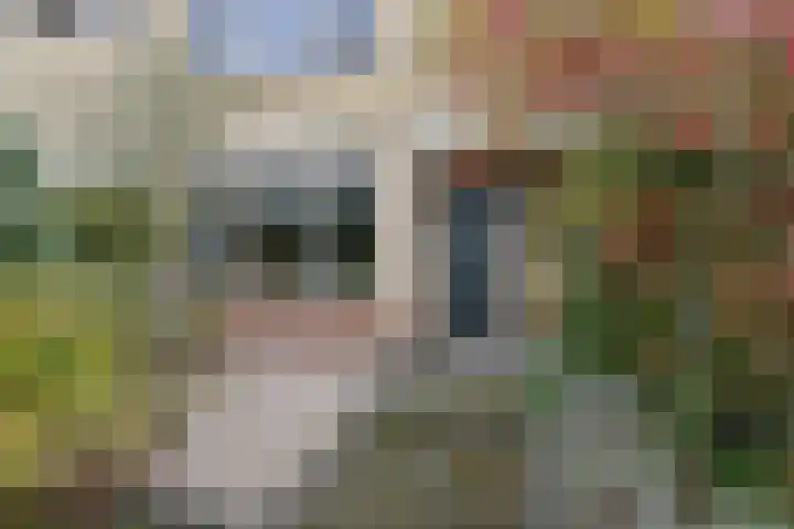 Prinses Marijkestraat 34 Hillegom thumbnail 54