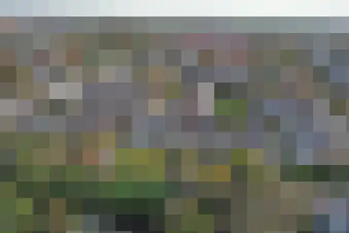 Prinses Marijkestraat 34 Hillegom thumbnail 61