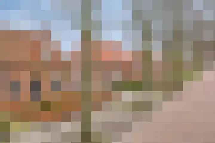 Prinses Marijkestraat 47 Bergeijk thumbnail 42