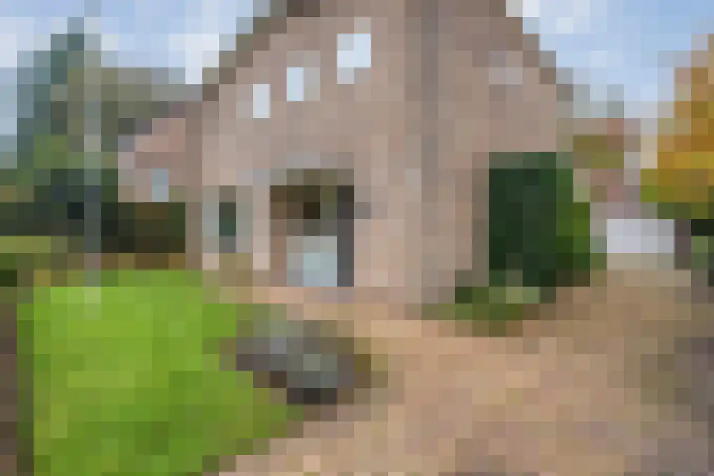 Prinses Marijkestraat 5 Zwolle thumbnail 5