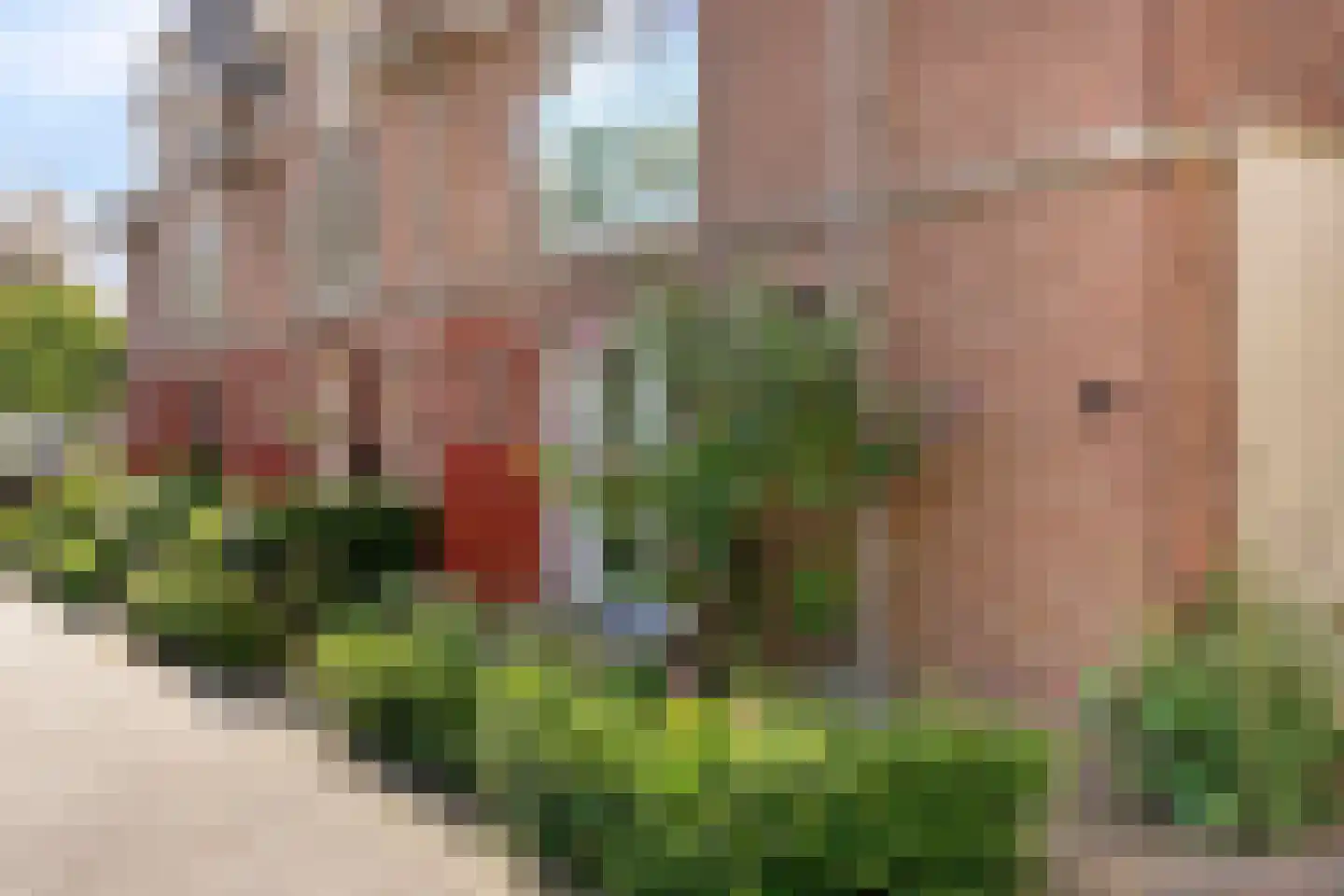 Prinses Marijkestraat 50 Meppel thumbnail 49