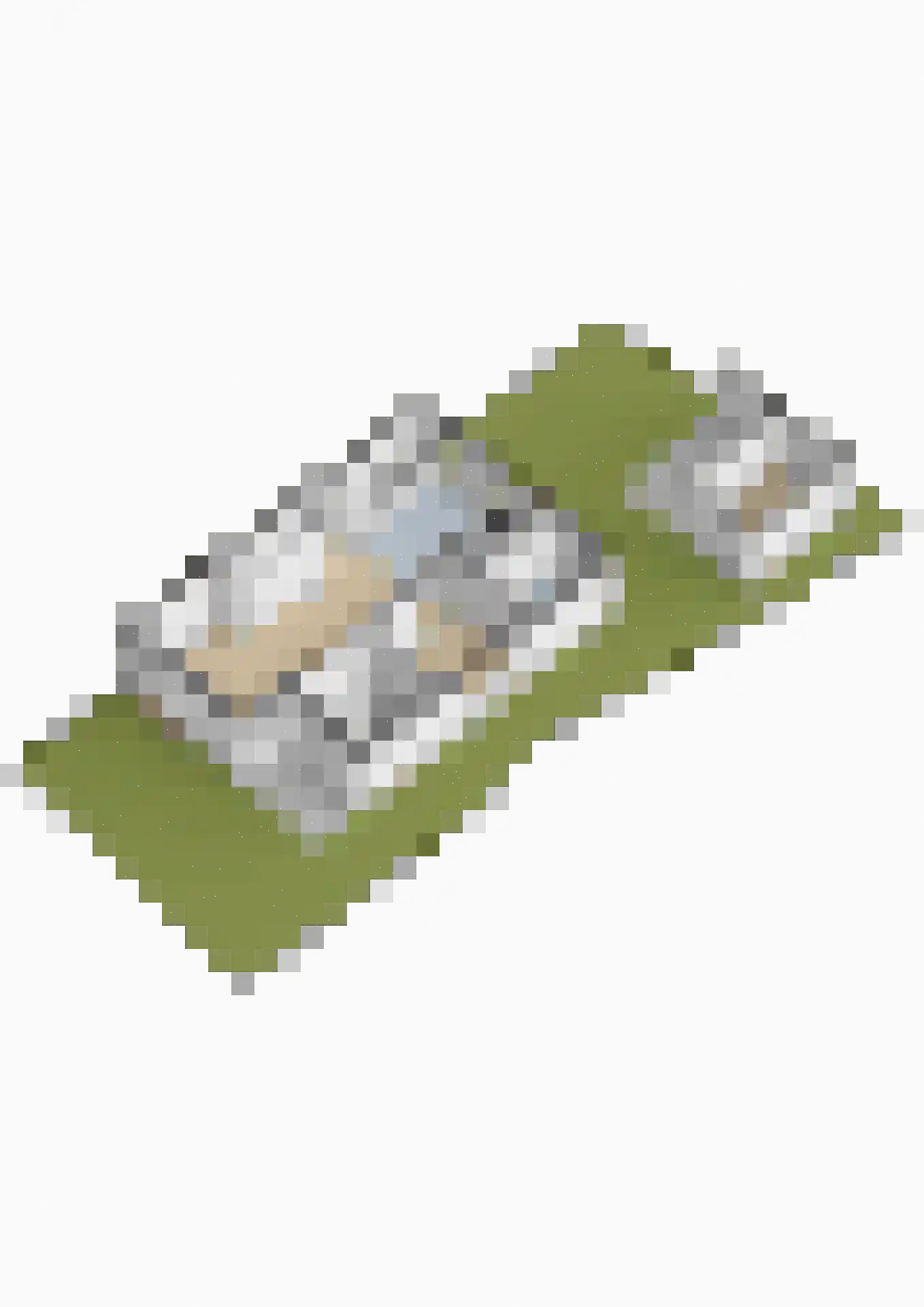 Prinses Marijkestraat 63 Hillegom thumbnail 51