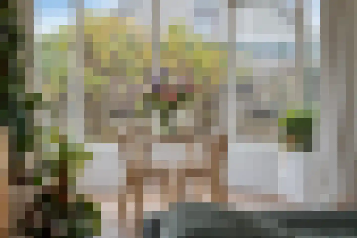 Prinses Marijkestraat 8 Millingen aan de Rijn thumbnail 12