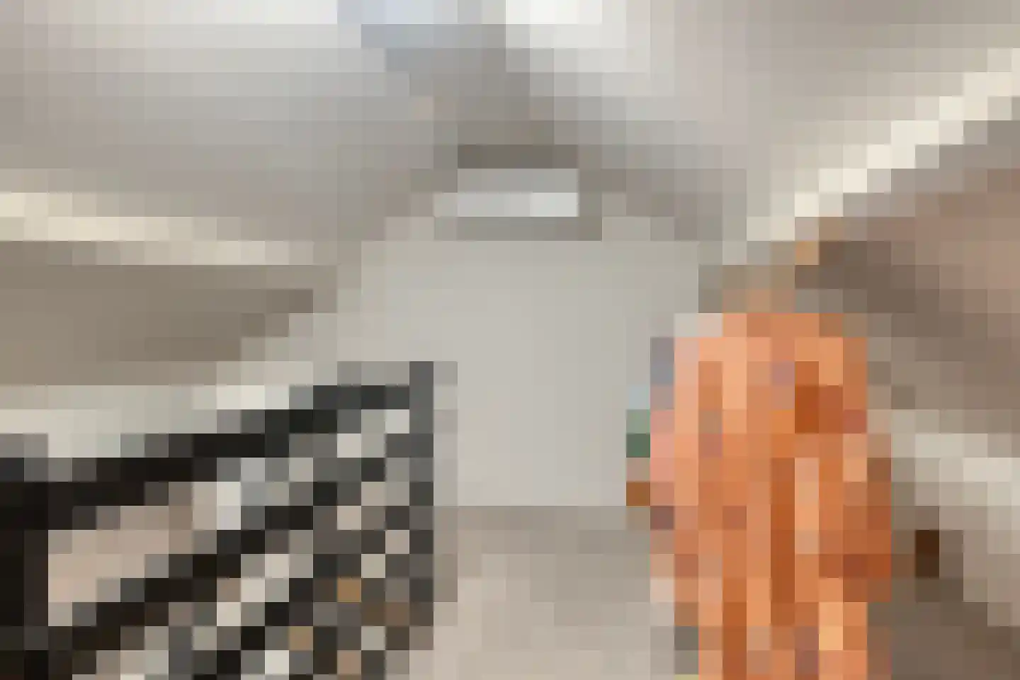 Prinses Marijkestraat 8 Millingen aan de Rijn thumbnail 29