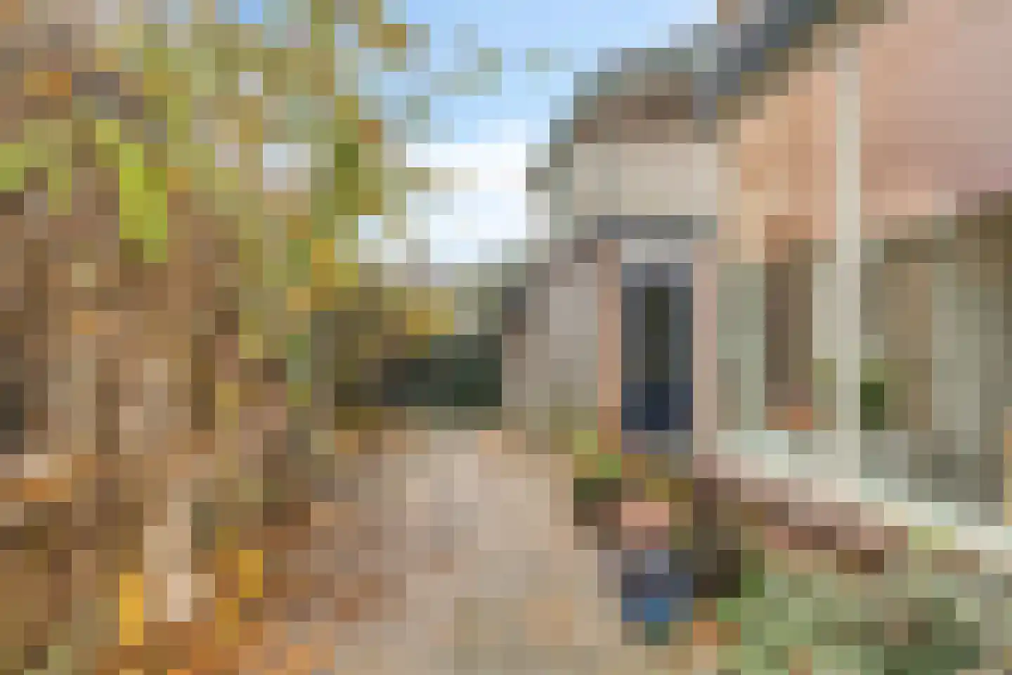Prinses Marijkestraat 8 Millingen aan de Rijn thumbnail 35
