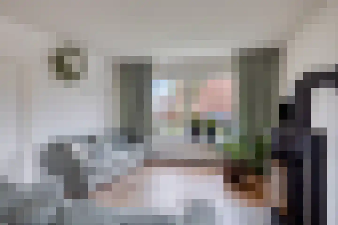 Prinses Marijkestraat 8 Millingen aan de Rijn thumbnail 8