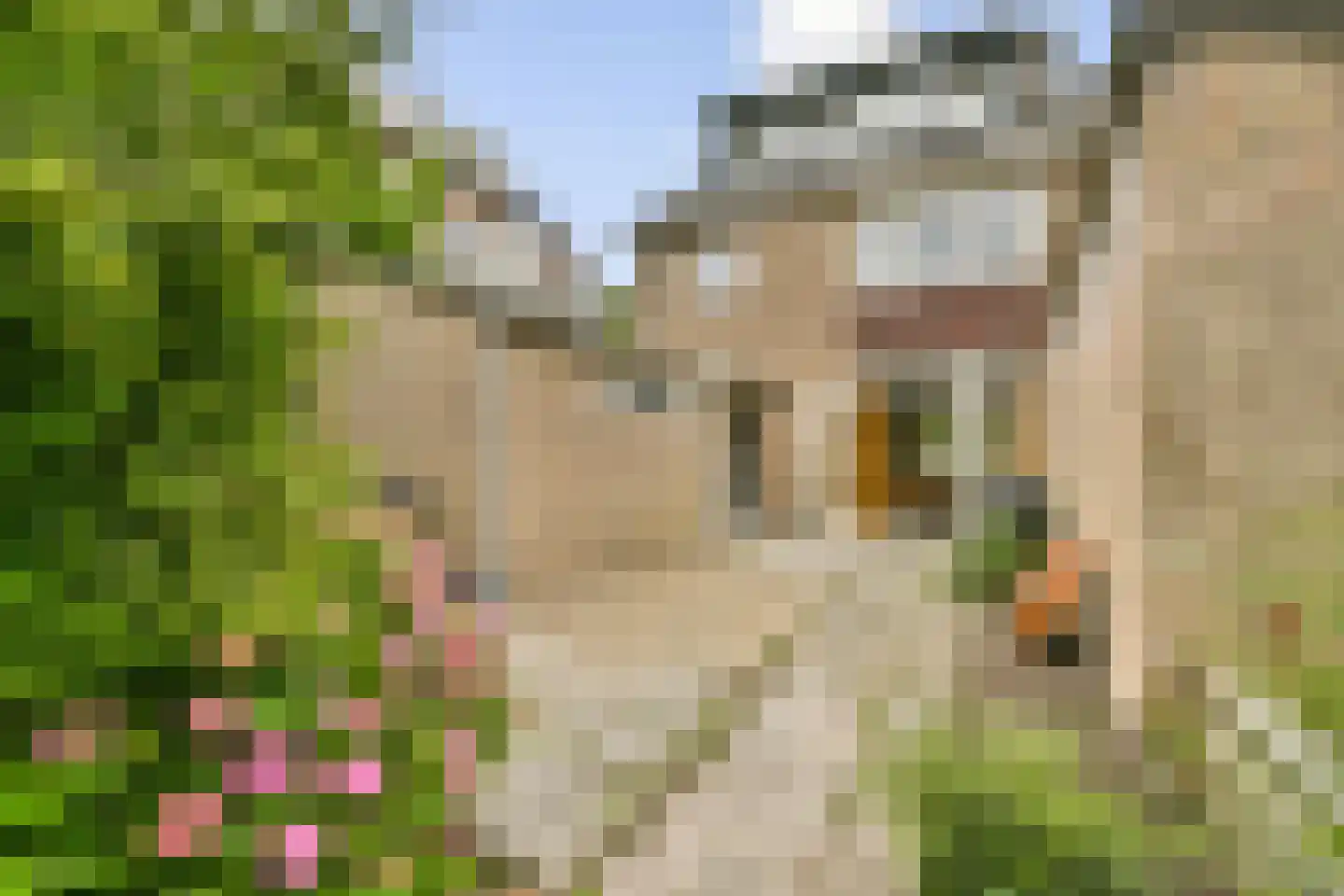 Prinses Marijkestraat 81 Diemen thumbnail 11
