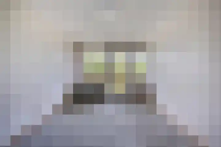 Prinses Marijkestraat 81 Hillegom thumbnail 31