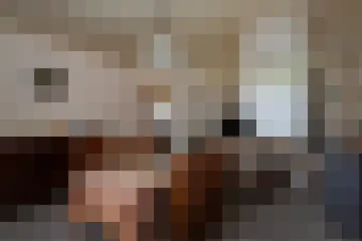 Prinses Marijkestraat 88 Bergeijk thumbnail 8