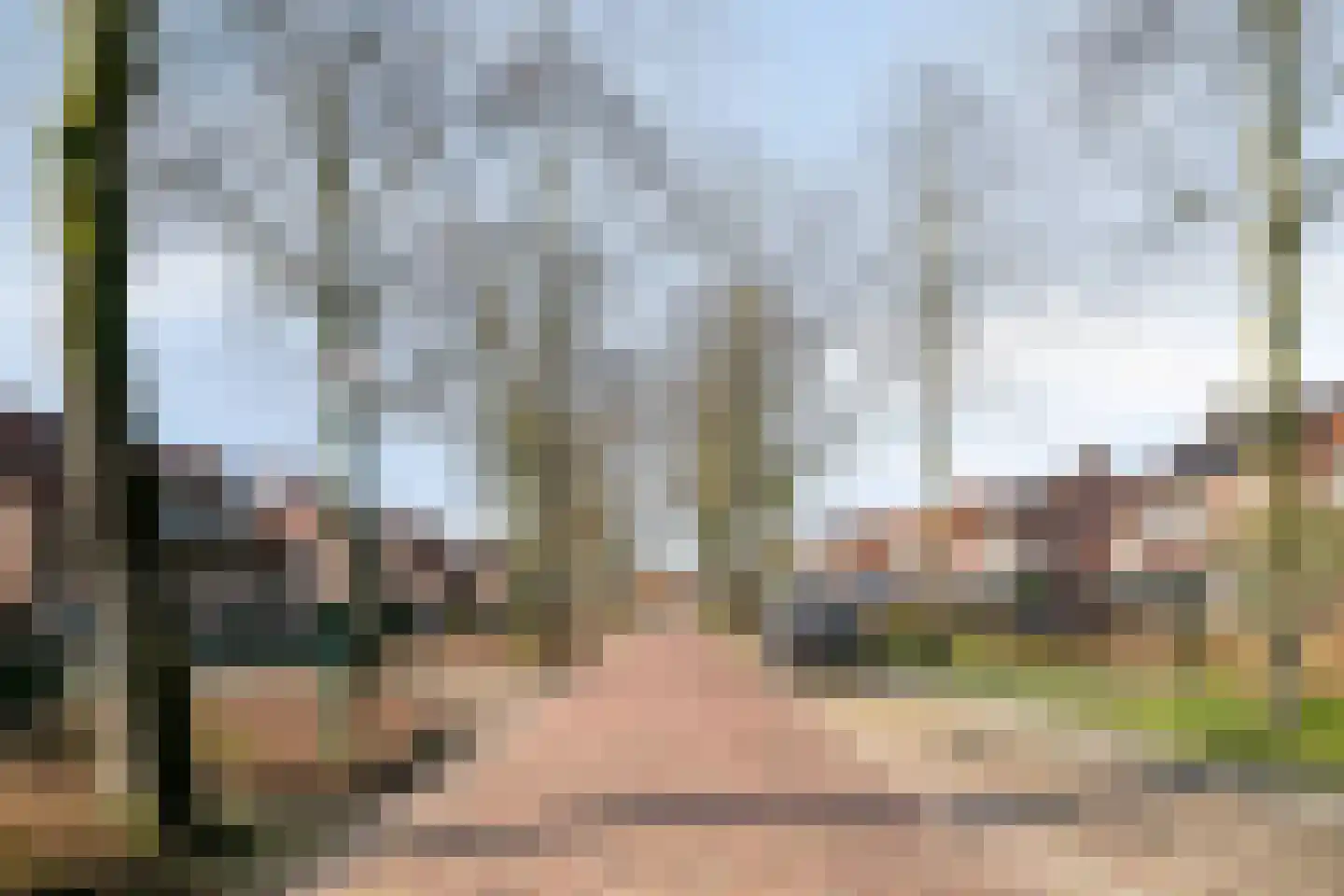 Prinses Marijkestraat 89 Bergeijk thumbnail 51