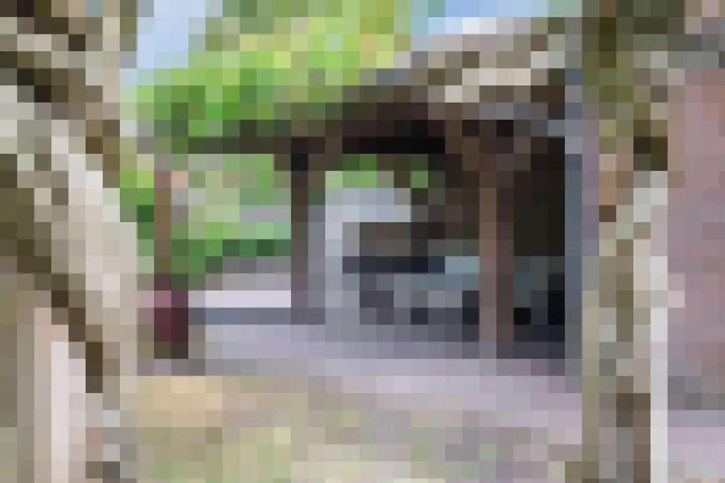 Prinses Marijkestraat 91 Bergeijk thumbnail 36