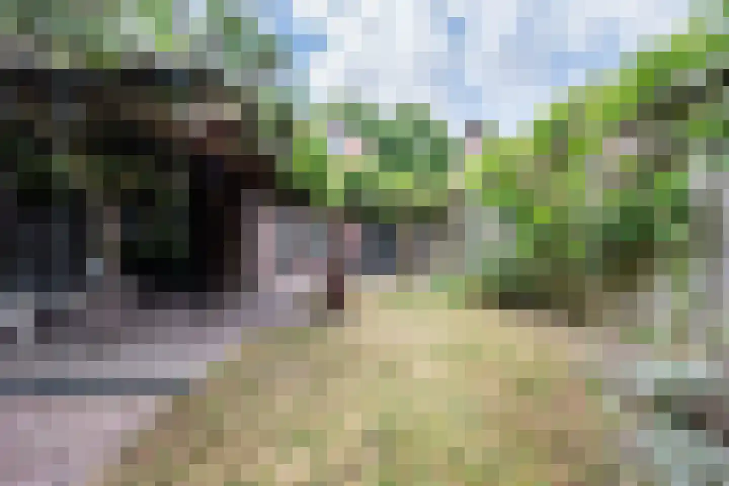 Prinses Marijkestraat 91 Bergeijk thumbnail 37