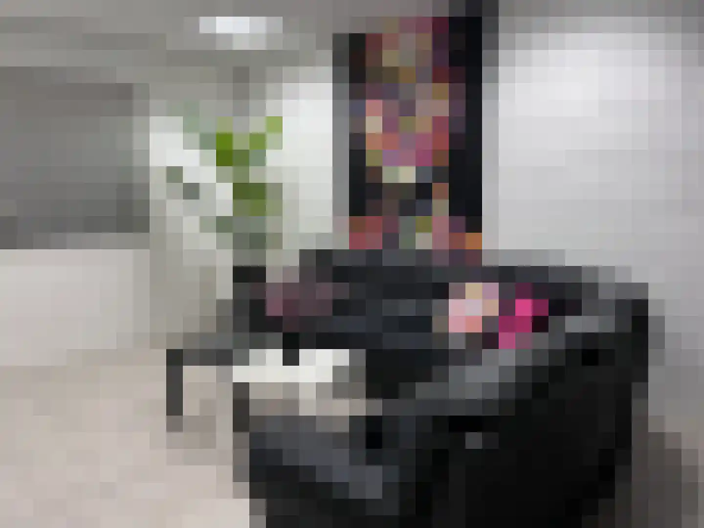 Prinses Marijkeweg 1 Ameide thumbnail 30