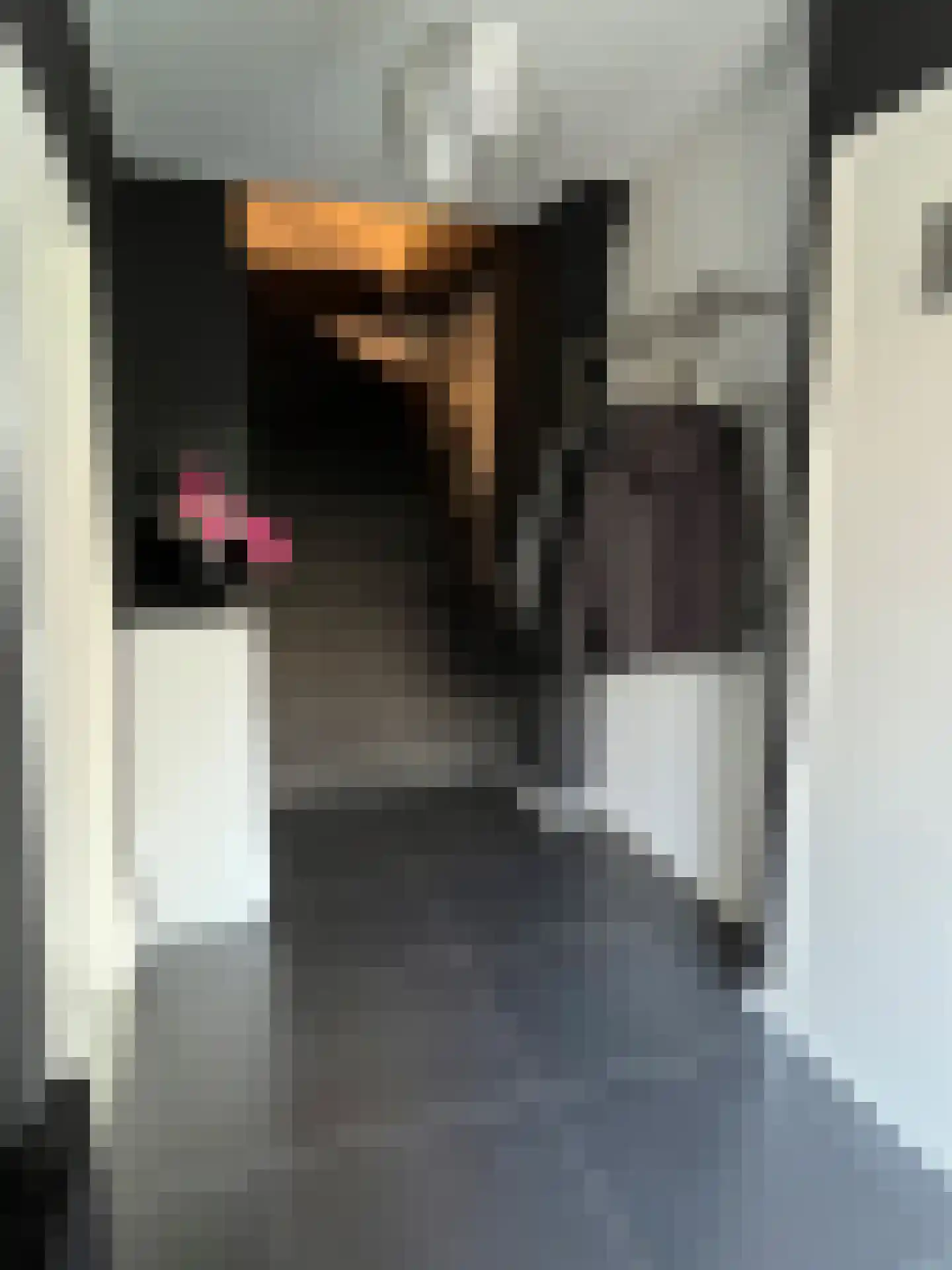 Prinses Marijkeweg 1 Ameide thumbnail 5
