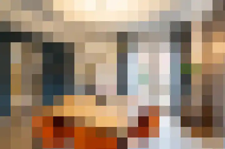 Prinses Marijkeweg 2 L Geldermalsen thumbnail 12