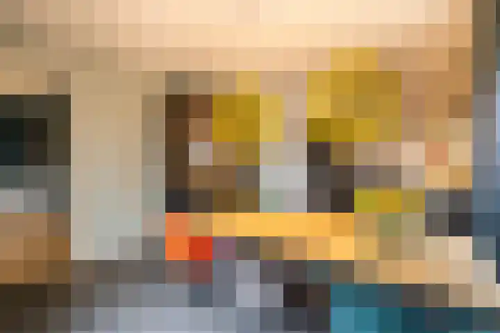 Prinses Marijkeweg 2 L Geldermalsen thumbnail 24