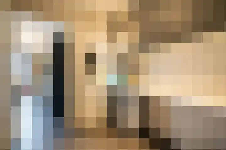 Prinses Marijkeweg 2 L Geldermalsen thumbnail 30