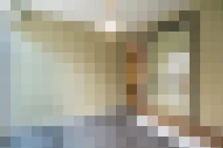 Prinses Marijkeweg 2 L Geldermalsen thumbnail 33