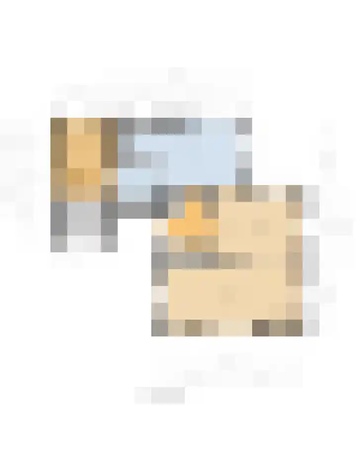 Prinses Marijkeweg 2 L Geldermalsen thumbnail 38