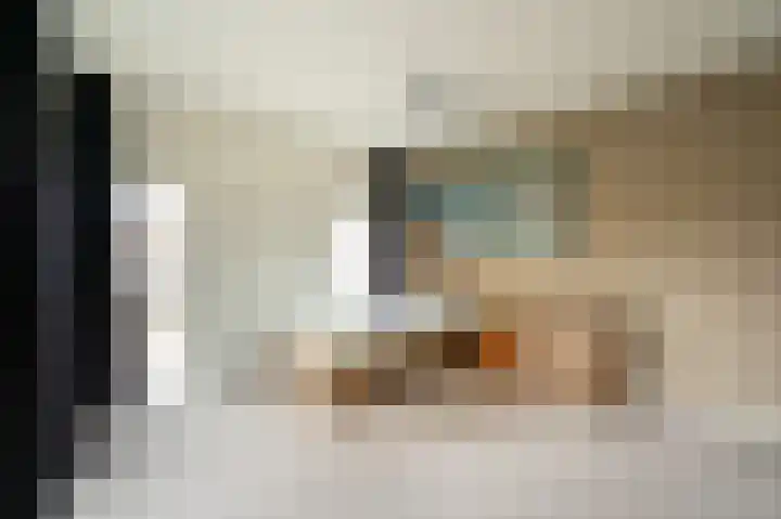 Prinses Marijkeweg 2 L Geldermalsen thumbnail 40