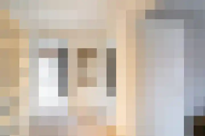 Prinses Marijkeweg 2 L Geldermalsen thumbnail 46