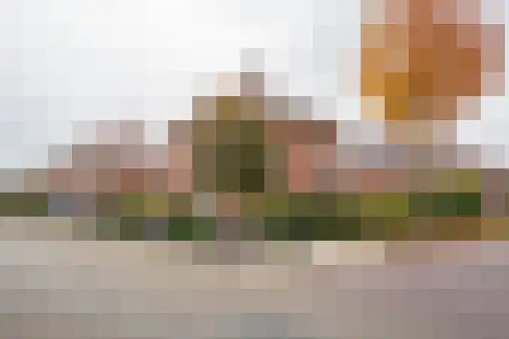 Prinses Marijkeweg 2 L Geldermalsen thumbnail 5