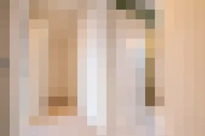 Prinses Marijkeweg 2 L Geldermalsen thumbnail 53