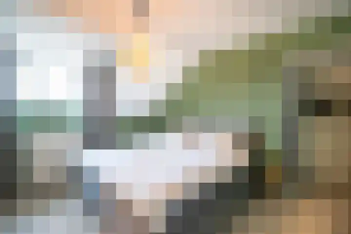 Prinses Marijkeweg 2 L Geldermalsen thumbnail 55