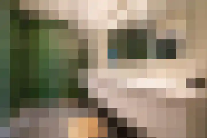Prinses Marijkeweg 2 L Geldermalsen thumbnail 57