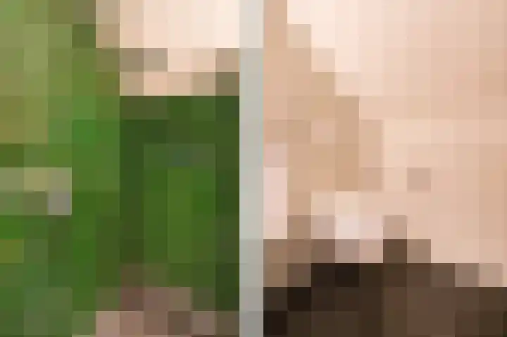 Prinses Marijkeweg 2 L Geldermalsen thumbnail 58