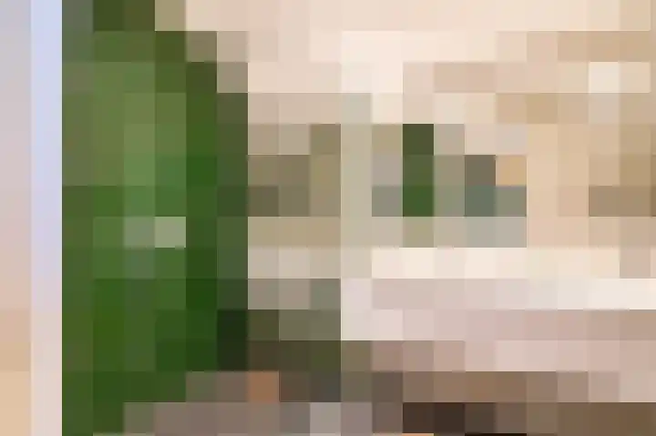 Prinses Marijkeweg 2 L Geldermalsen thumbnail 60