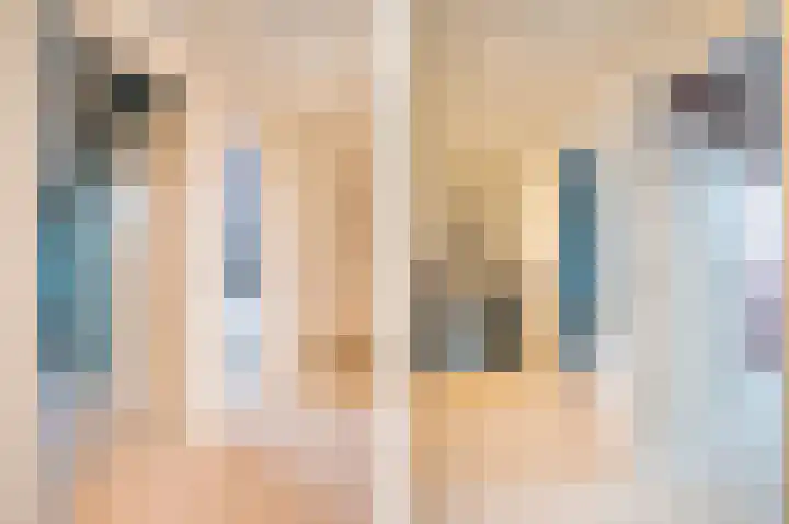 Prinses Marijkeweg 2 L Geldermalsen thumbnail 61