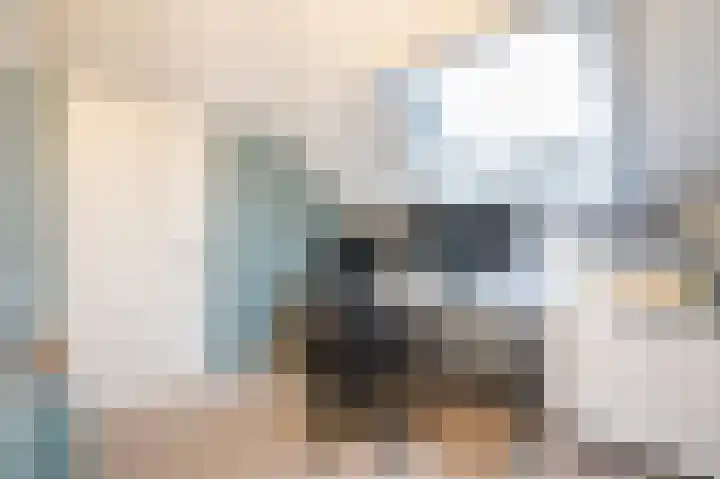 Prinses Marijkeweg 2 L Geldermalsen thumbnail 64