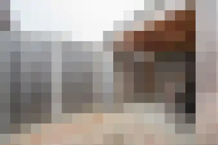 Prinses Marijkeweg 2 L Geldermalsen thumbnail 69