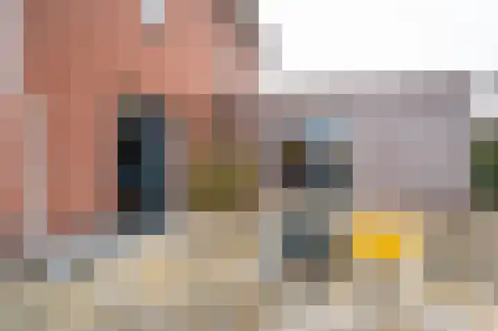 Prinses Marijkeweg 2 L Geldermalsen thumbnail 77