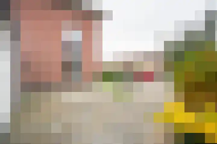 Prinses Marijkeweg 2 L Geldermalsen thumbnail 78