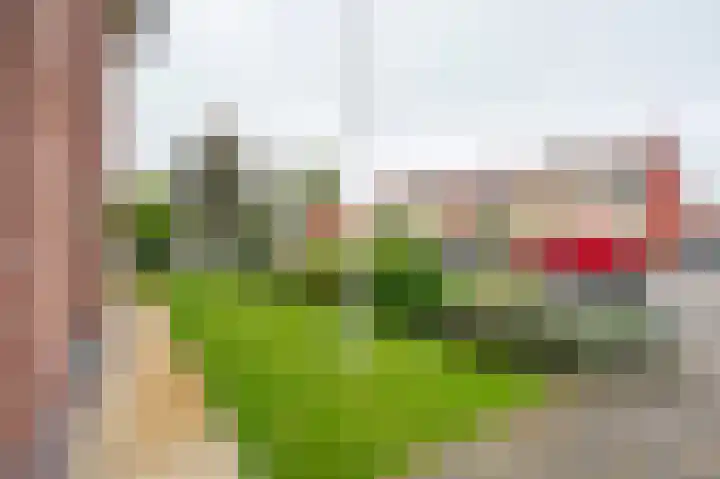 Prinses Marijkeweg 2 L Geldermalsen thumbnail 79