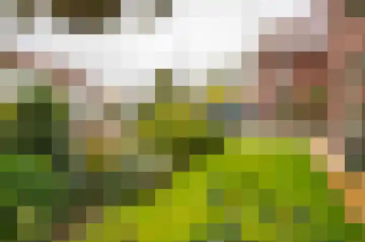 Prinses Marijkeweg 2 L Geldermalsen thumbnail 81