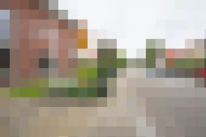 Prinses Marijkeweg 2 L Geldermalsen thumbnail 83