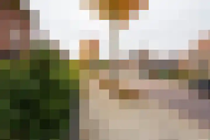 Prinses Marijkeweg 2 L Geldermalsen thumbnail 84
