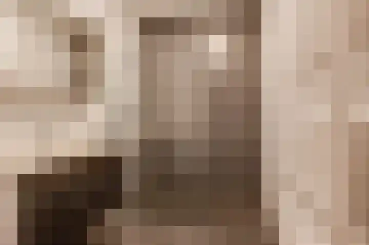 Prinses Marijkeweg 20 c Geldermalsen thumbnail 11