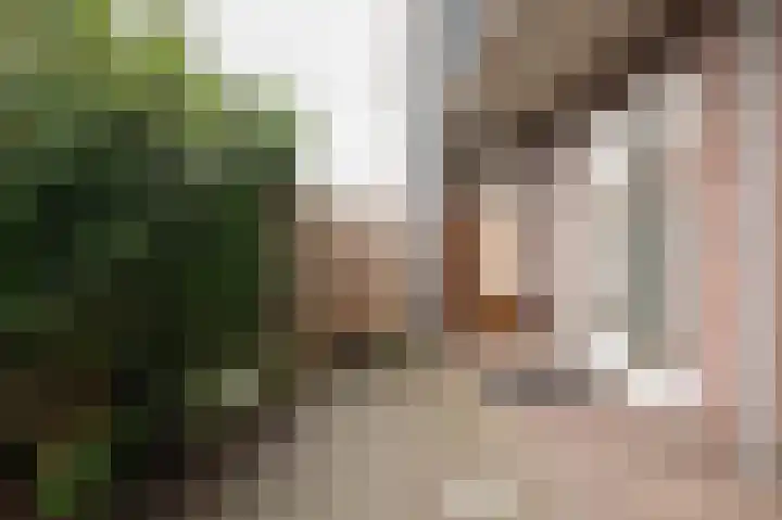 Prinses Marijkeweg 20 c Geldermalsen thumbnail 13