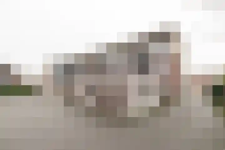 Prinses Marijkeweg 20 c Geldermalsen thumbnail 19